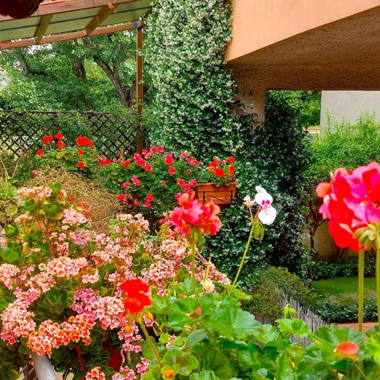 Elisa e Carla House Beautiful apartments on the Cassia - Appartamento con 1 Camera da Letto - 22