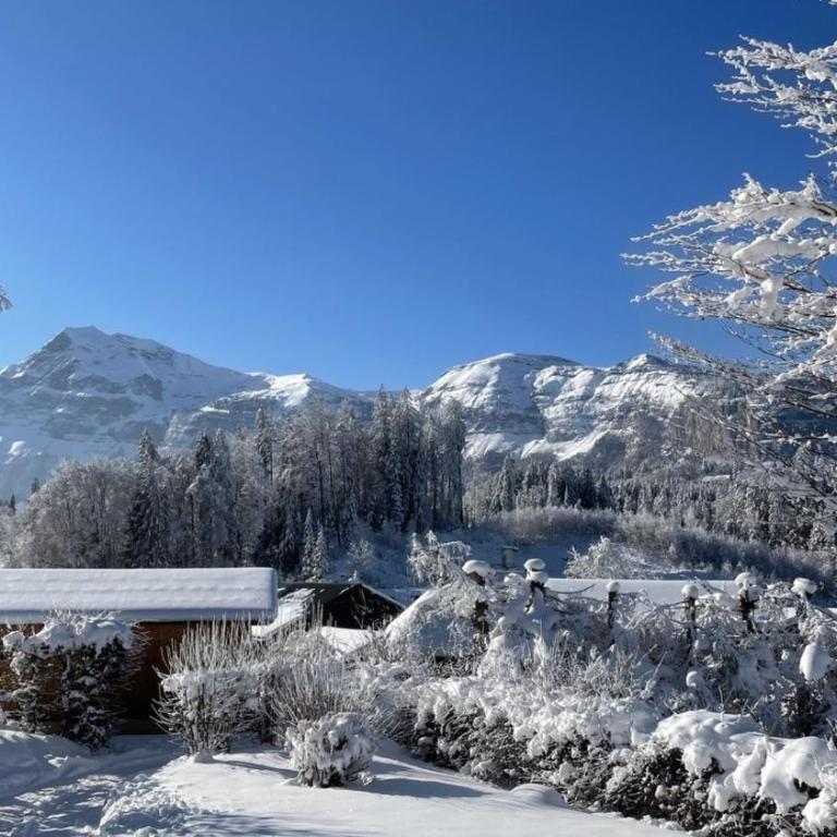 Chalet l'Arpenaz - Chalet - 14