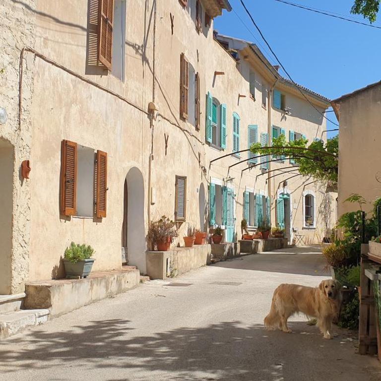 Bastide d'Estienne, la maison de Zazie - Maison 1 Chambre - 1