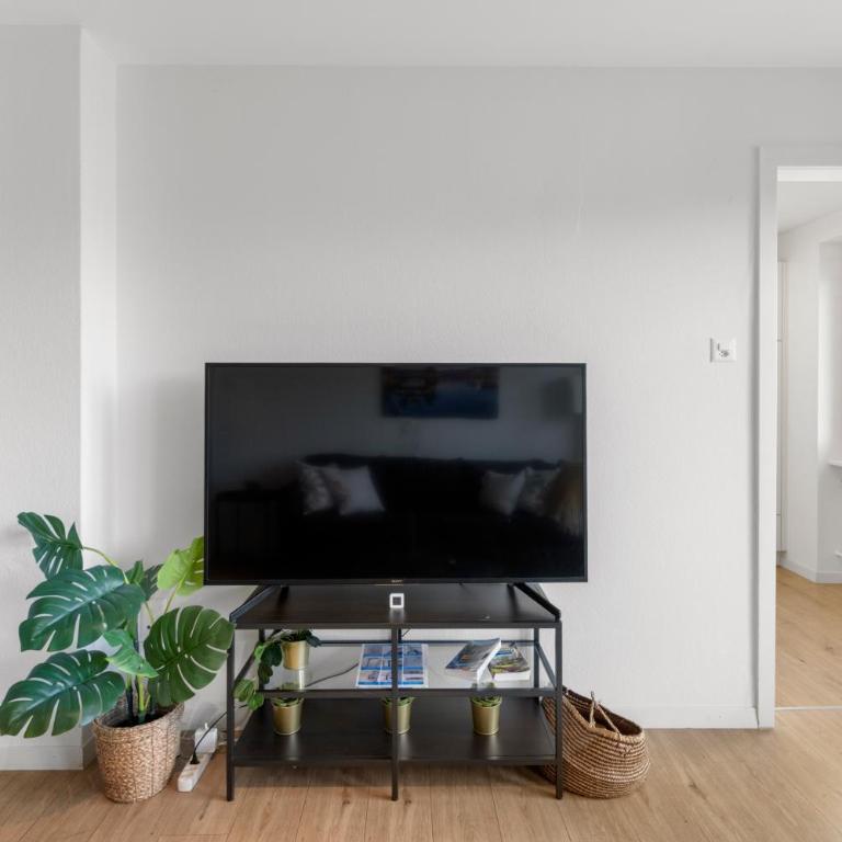 AirHosted - Lucerne City Centre - Apartment mit 2 Schlafzimmern - 54