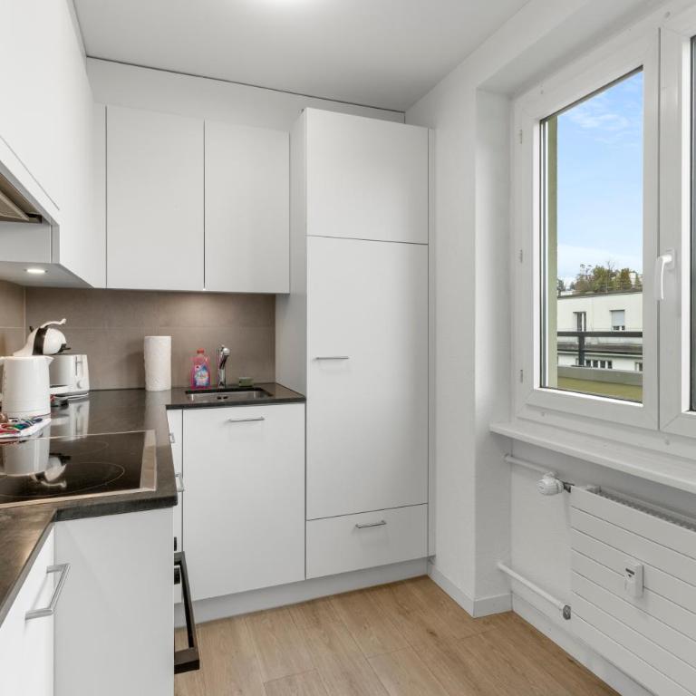 AirHosted - Lucerne City Centre - Apartment mit 2 Schlafzimmern - 57