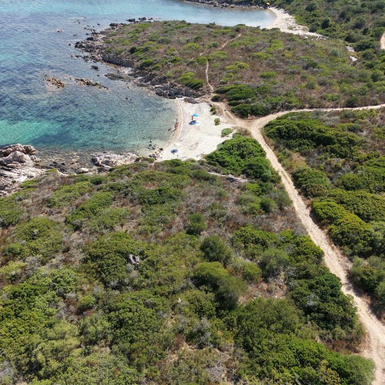 Homeby - Il Delfino - Appartamento - 68