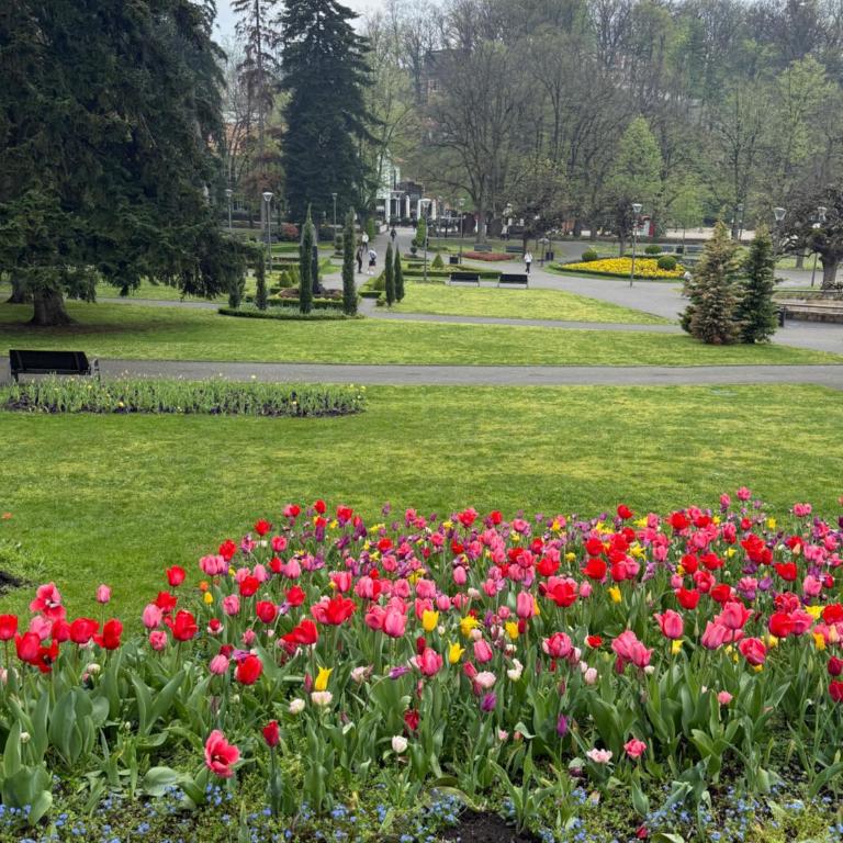 Apartman 7 with free parking - Apartment mit 1 Schlafzimmer und Blick auf den Park - 23