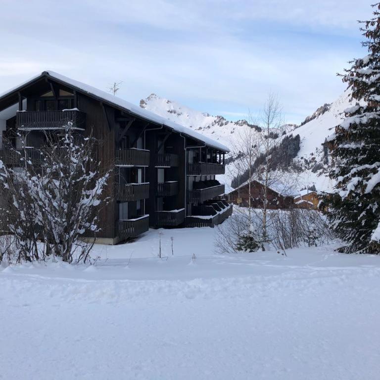 Studio des Lys 20 m2 Praz de Lys centre au calme - Appartement 2 Chambres - 11