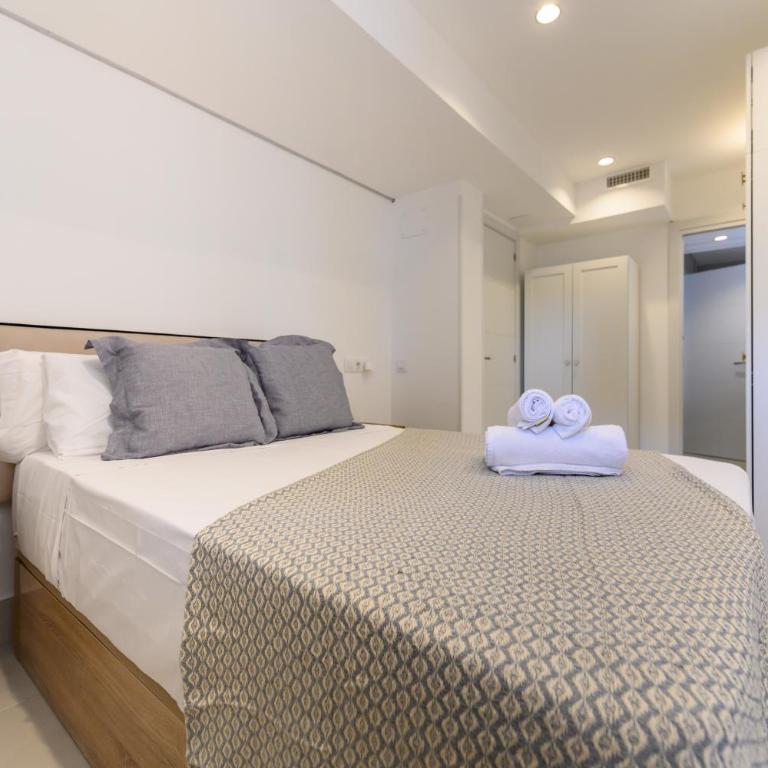 COL164B - Piso de 2 dormitorios en Chamartín, Madrid - Alquiler temporal - Apartamento de 2 dormitorios - 38