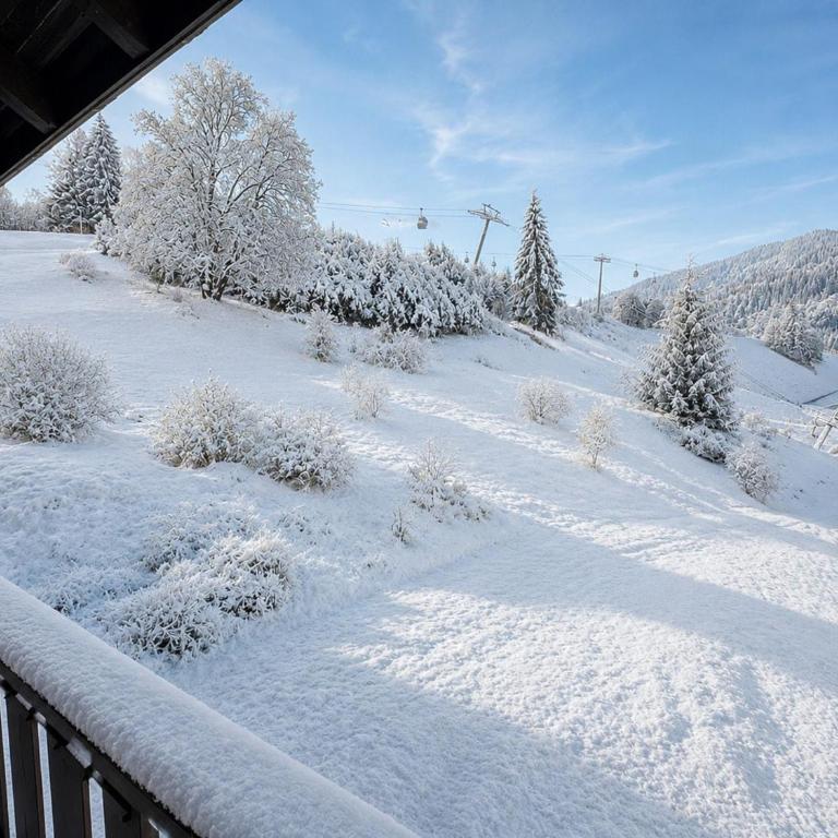 3* au cœur du village, skis aux pieds, spacieux 8 pers. - FR-1-304-3 - Appartement (8 Adultes) - 17