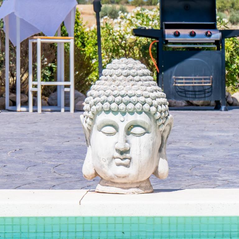 Cubo's Coco Rural House & Pool - Ferienhaus - 39