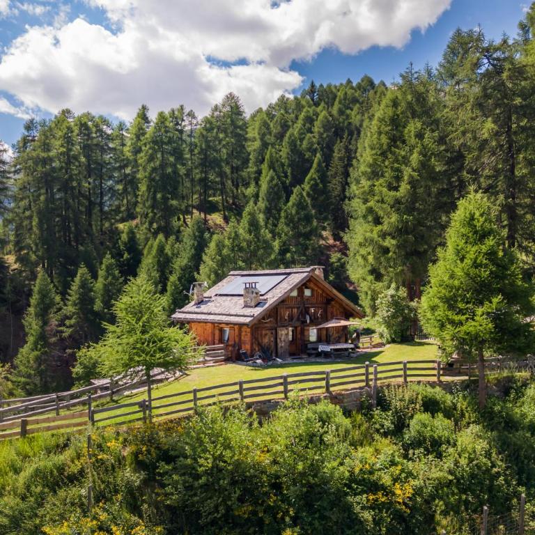 Baita Mas Socina - Chalet mit 2 Schlafzimmern - 13
