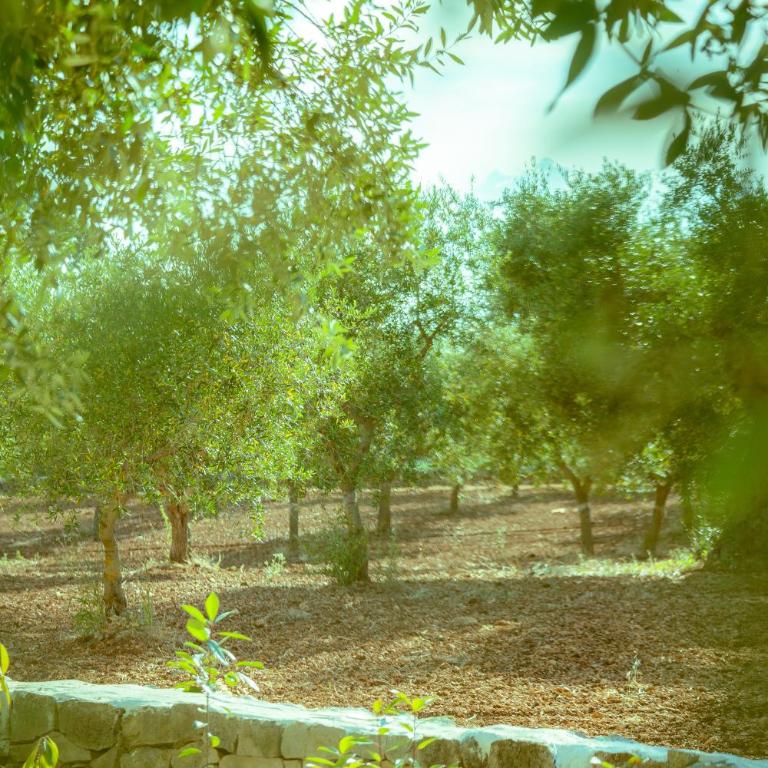 I Trulli di Anna - Camera Matrimoniale con Bagno Privato - 38