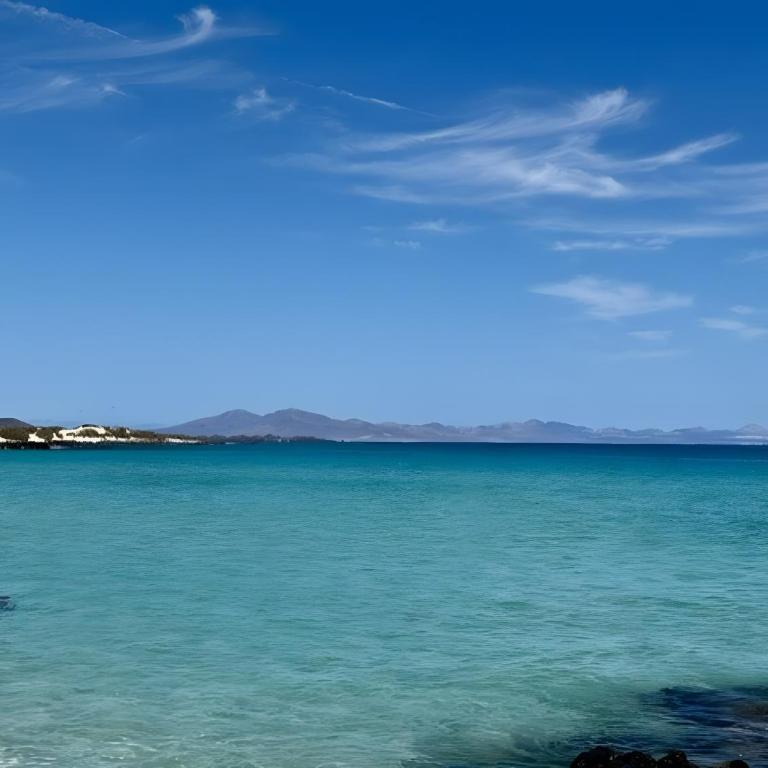 Casa Vitamin Sea - Appartamento Superior con 1 Camera da Letto e Balcone - 21