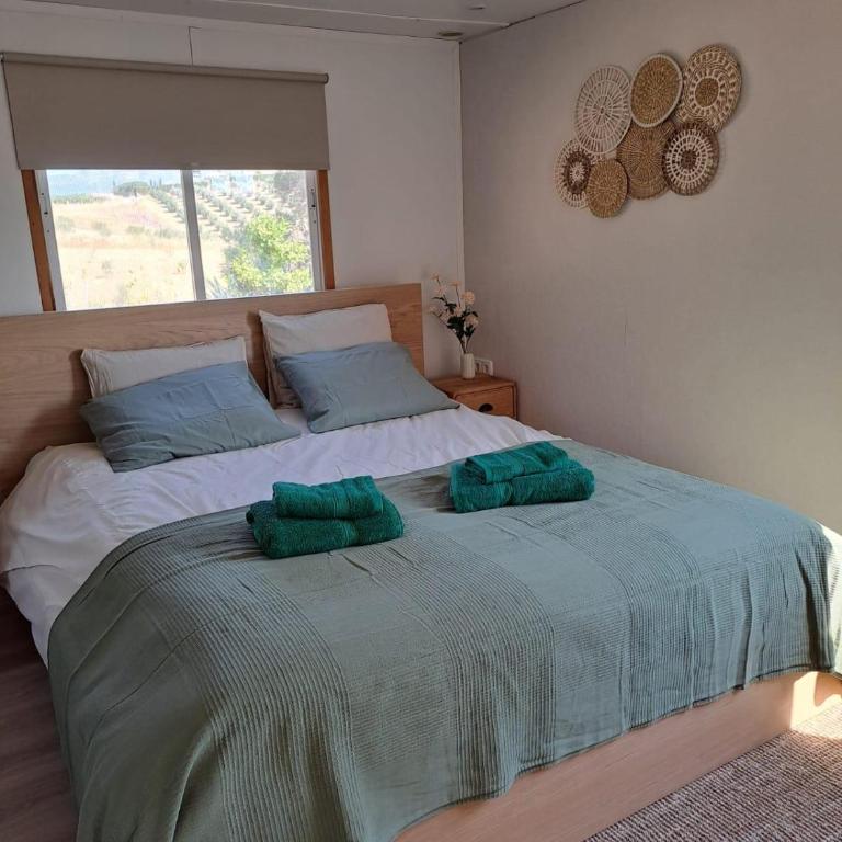 B&B Finca Miravista - Chalet de 1 dormitorio - 4