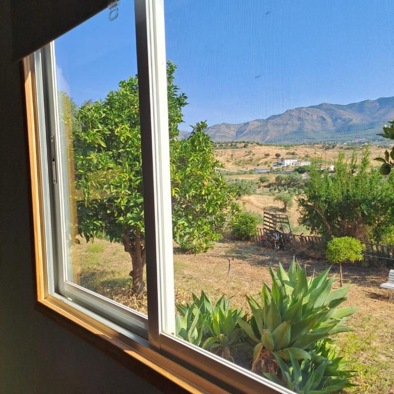 B&B Finca Miravista - Chalet de 1 dormitorio - 13
