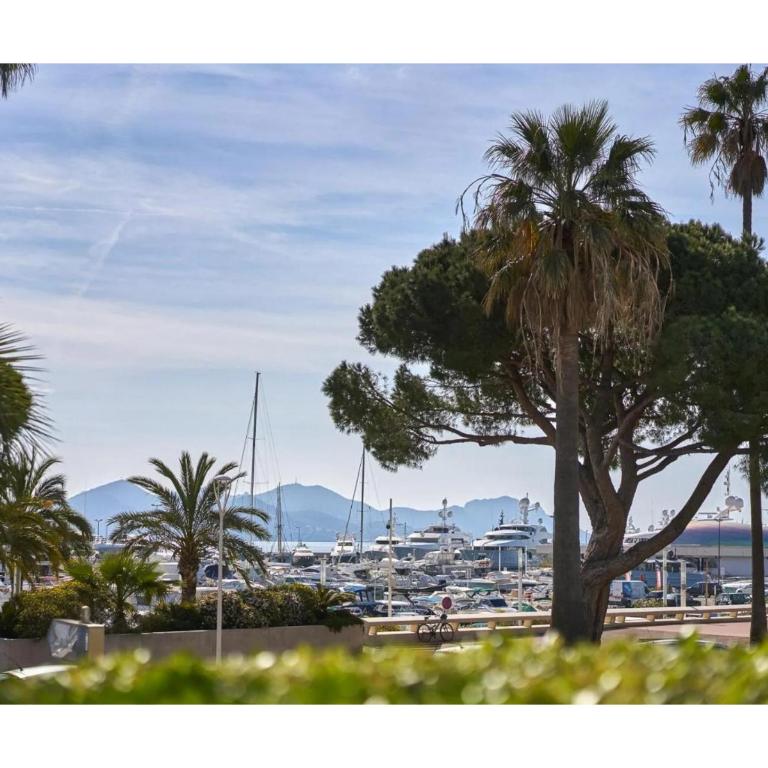Prestigious Private Pool Villa in Pointe Croisette, Cannes - Villa avec Piscine Privée - 24