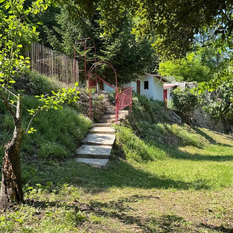 Petit Paradis Nature Cabanon & Rivière - Villa 2 Chambres - 12