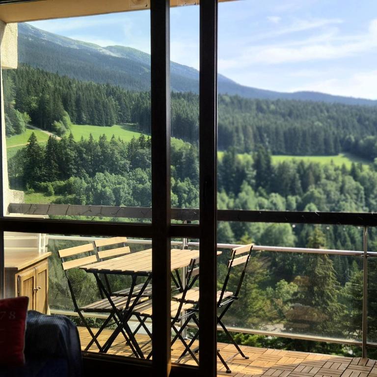 Lumineux 2 pièces vue montagne au pied des pistes avec parking privé - Appartamento con 1 Camera da Letto - 27