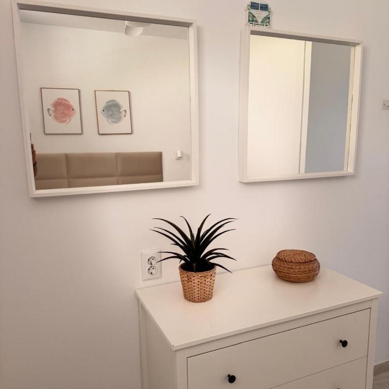 Tropical Apartment - La Caleta - Appartement 1 Chambre - 12