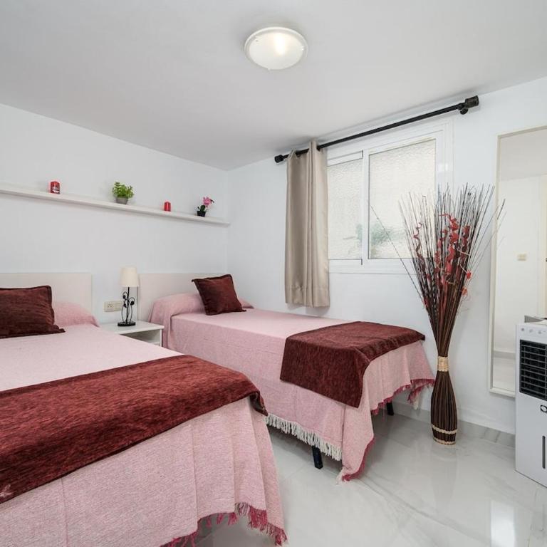Casa Burriana Oasis - Apartamento de 2 dormitorios - 15