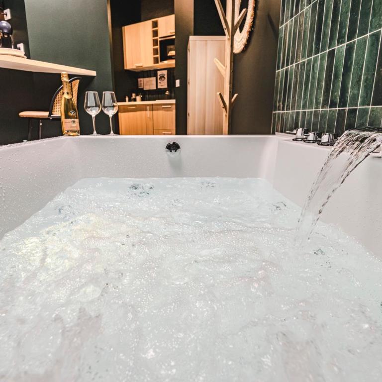 SPA Balnéo des Sacres-REIMS-Centre Ville - Appartamento con 1 Camera da Letto e Vasca Idromassaggio - 18