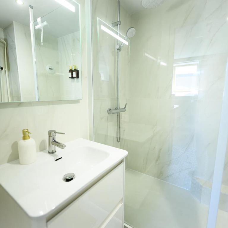 Le Voyageur Dijonnais-T2-Hyper centre-Clim-Wifi - Appartement - 4