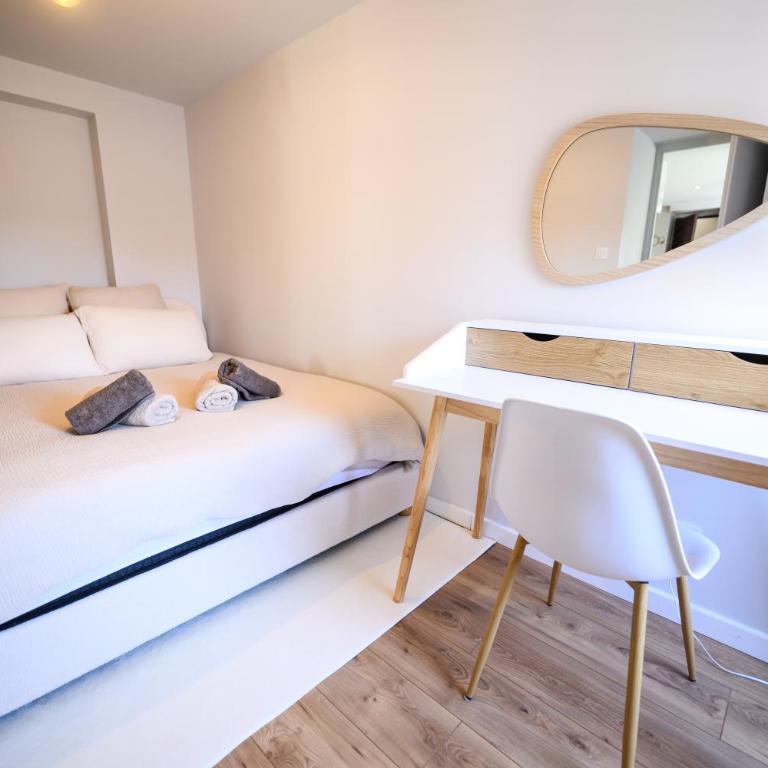 Le Voyageur Dijonnais-T2-Hyper centre-Clim-Wifi - Appartement - 5