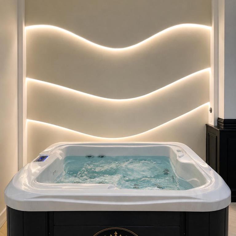 Le Rêve de Stanislas - Jacuzzi Nancy centre - Appartement 1 Chambre - 3