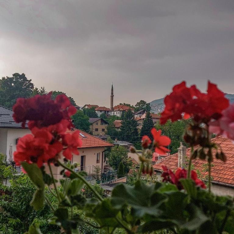 Sara Old Town Apartment - Apartman sa 2 Spavaće Sobe - 15