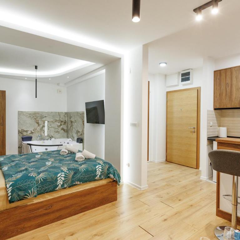 Aqua Apartments 1 - Apartman sa 1 Spavaćom Sobom - 8