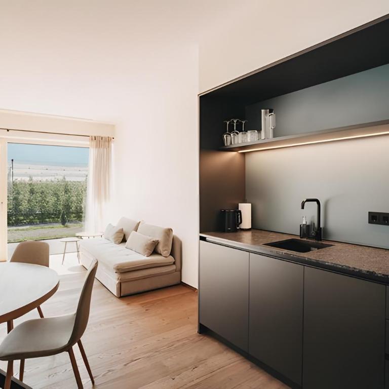 New Opening Grafferhof - Monolocale con Terrazza - 7