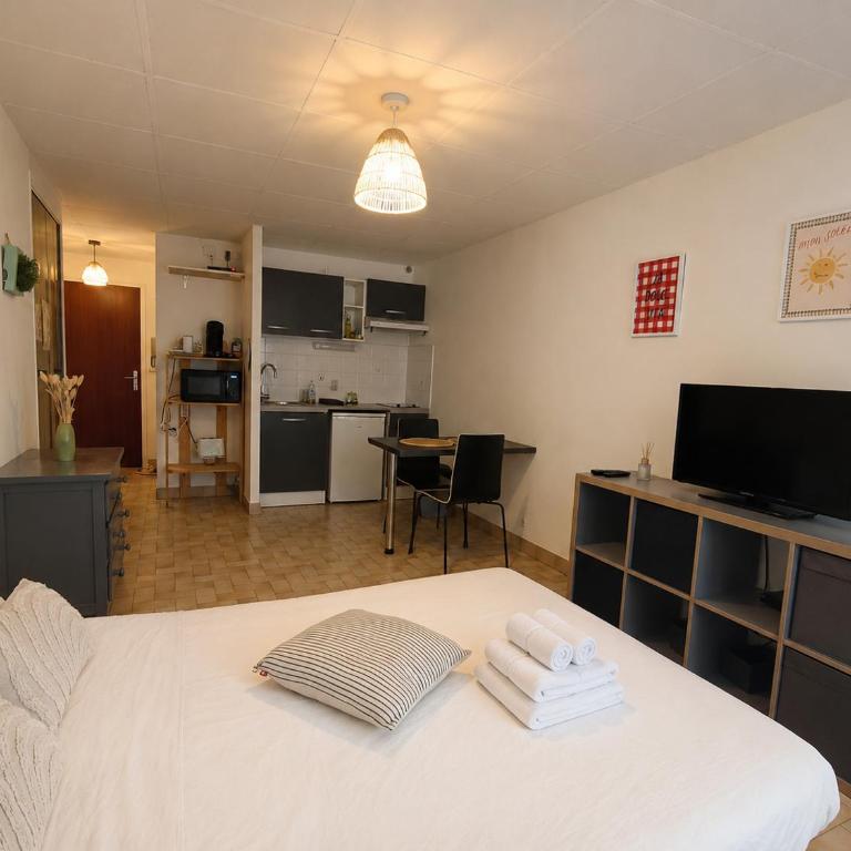 Studio centre-ville avec ascenseur - Le Mistral - Studio - 9