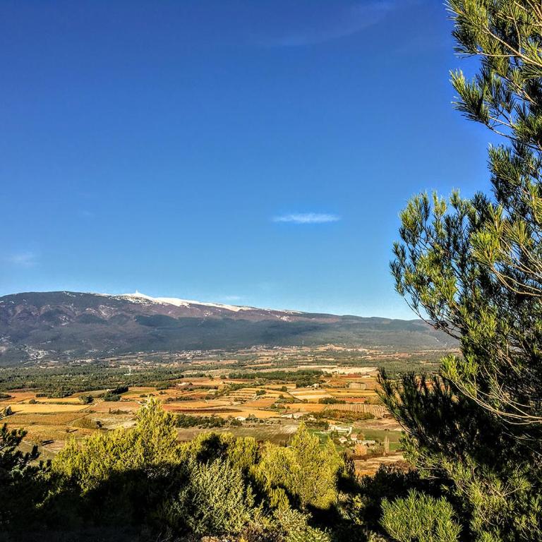 Les Maquinols Provence Villa, Mont Ventoux, Bédoin - Haus mit 4 Schlafzimmern - 28