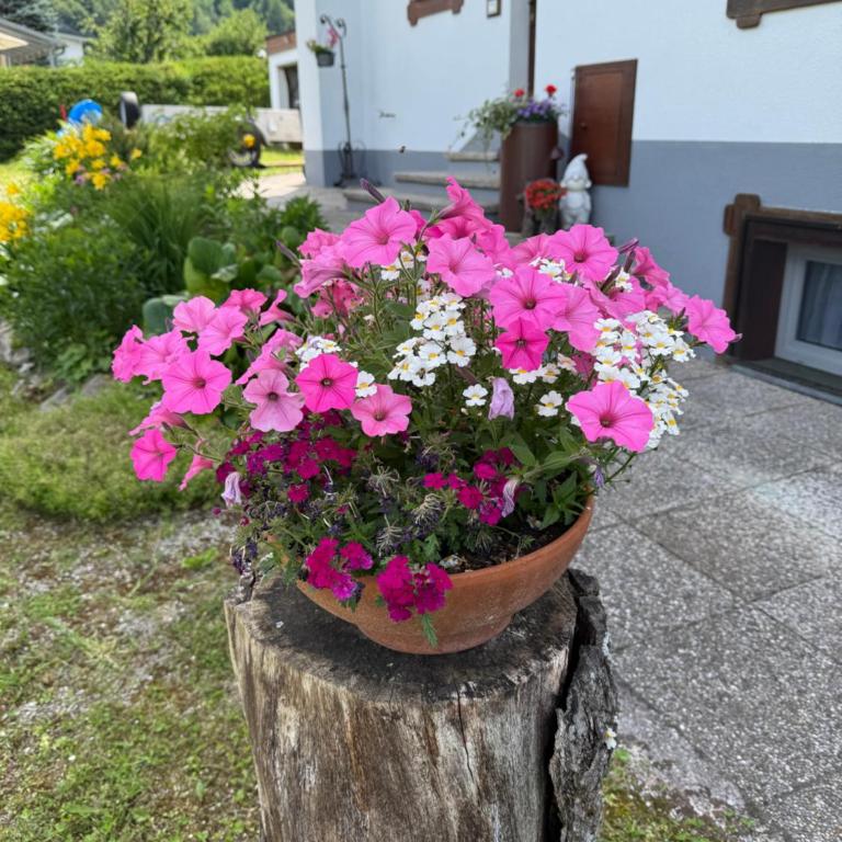 Apartment in St. Jakob im Rosental - Apartment mit Blick auf die Berge - 24