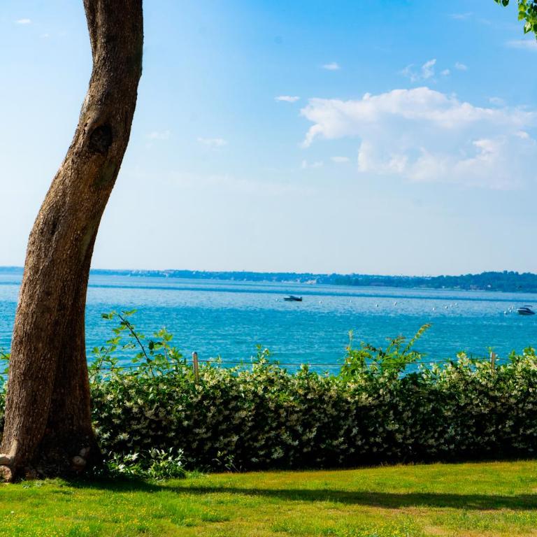 Baia Holiday Gardasee - Empty lot (bring your own tent/caravan) - 3