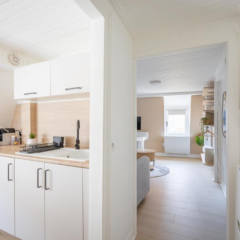 Stylish Studio Steps from Metz Cathedral - Appartement 1 Chambre - 13