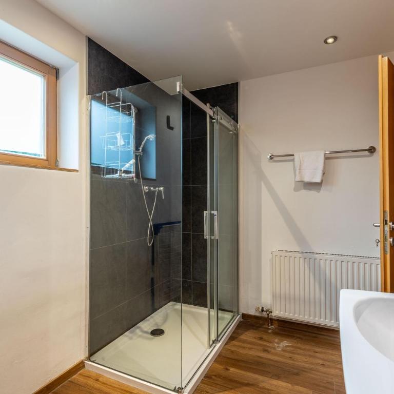 Appartement Schmittenblick - Apartment with Shower - 18