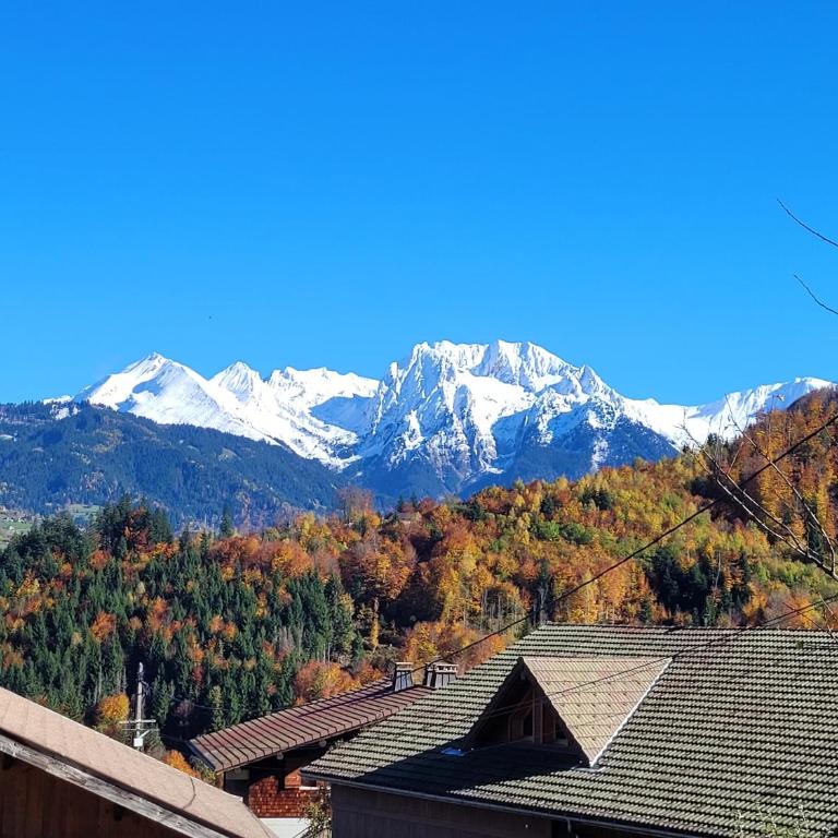 Chalet Tosbrand - Appartement 2 Chambres avec Vue sur la Montagne - 10