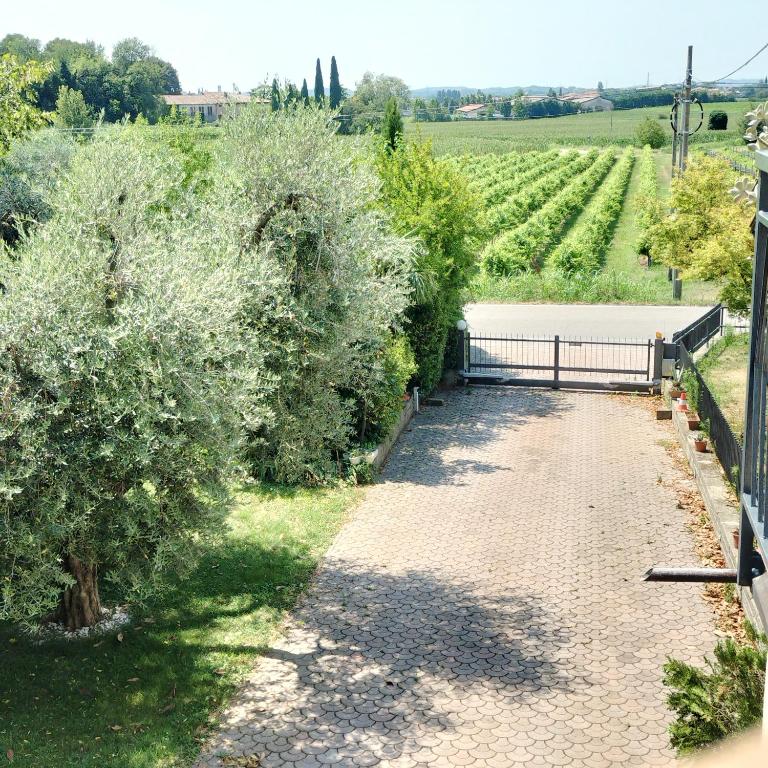 Residenza Gli Agrumi del Garda - Lazise - Casa con 2 Camere da Letto - 8