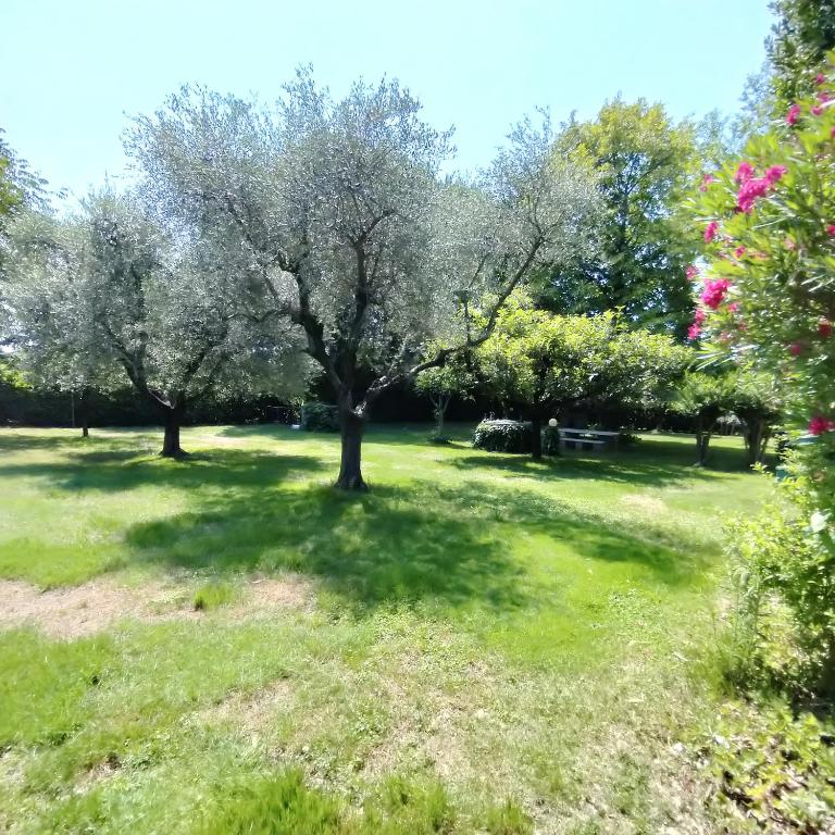 Residenza Gli Agrumi del Garda - Lazise - Casa con 2 Camere da Letto - 11