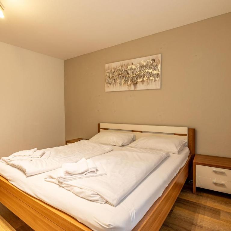 Appartement Schmittenblick - Apartment with Shower - 35