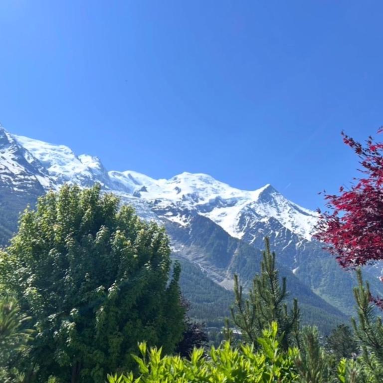 Chalet luxe 10 pers Vue Mont-Blanc Hammam - Chalet - 30