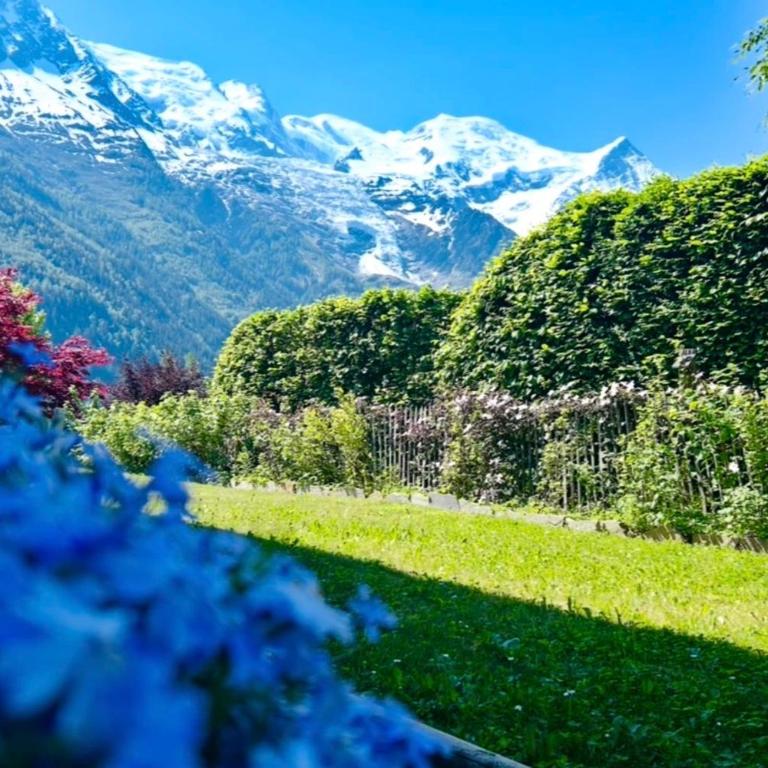 Chalet luxe 10 pers Vue Mont-Blanc Hammam - Chalet - 29