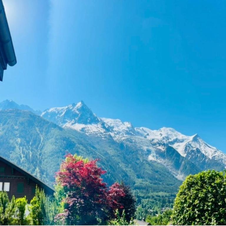 Chalet luxe 10 pers Vue Mont-Blanc Hammam - Chalet - 31