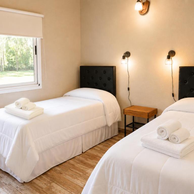 Olivos de Monte - Apartamento de 2 dormitorios - 3