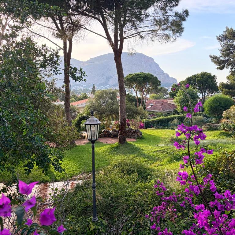 Park House - Appartamento Bilocale - 4