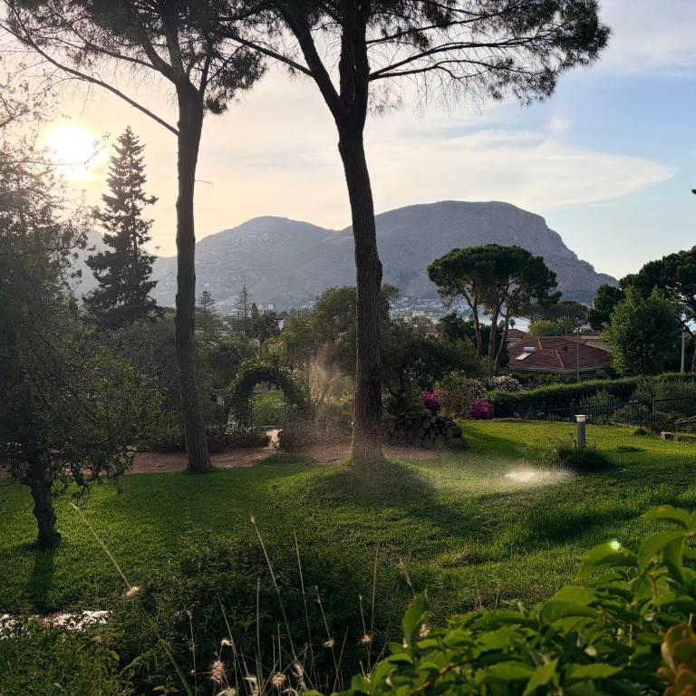 Park House - Appartamento Bilocale - 3