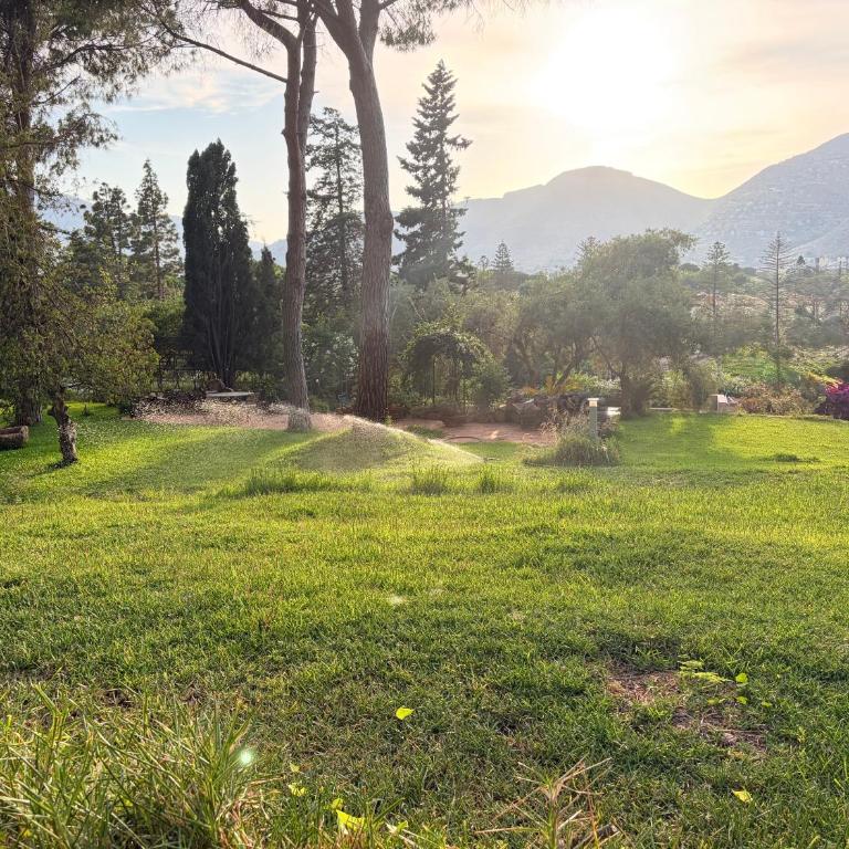 Park House - Appartamento Bilocale - 2