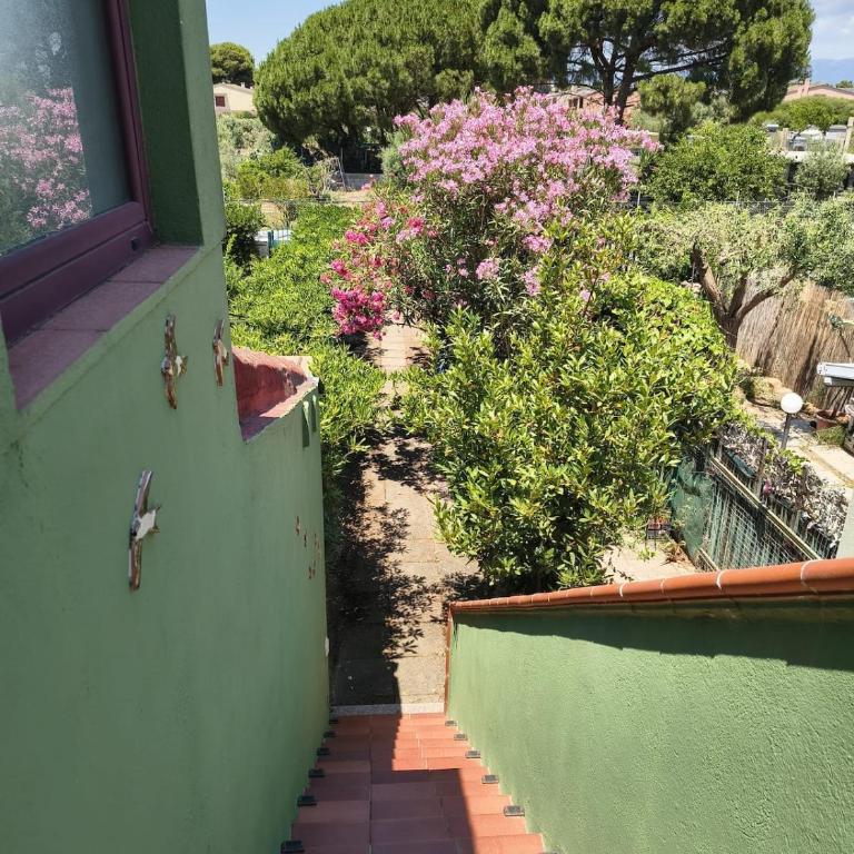 Apartment Sa Mariposa - Appartamento con 1 Camera da Letto - 6