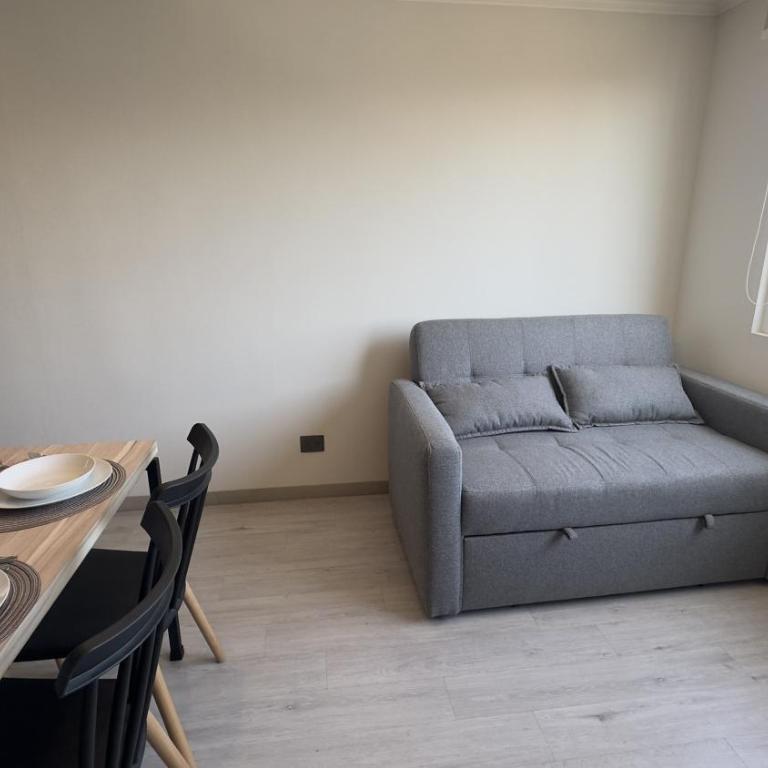 Oceana Suites Parque San Eugenio - One-Bedroom Apartment with City View - 3