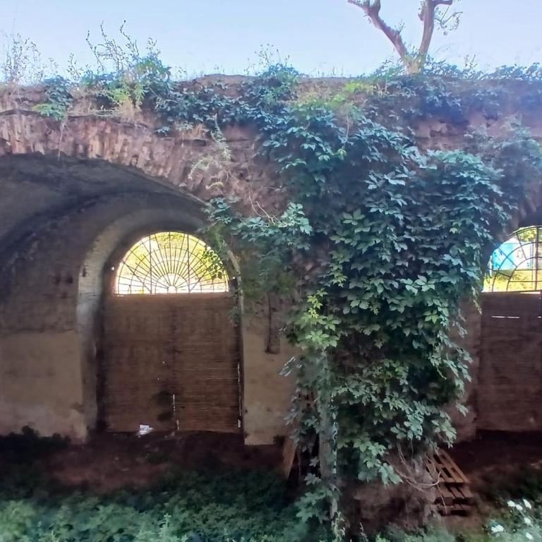 Rome Code Trastevere Guest House - Camera Matrimoniale con Vista Giardino - 5