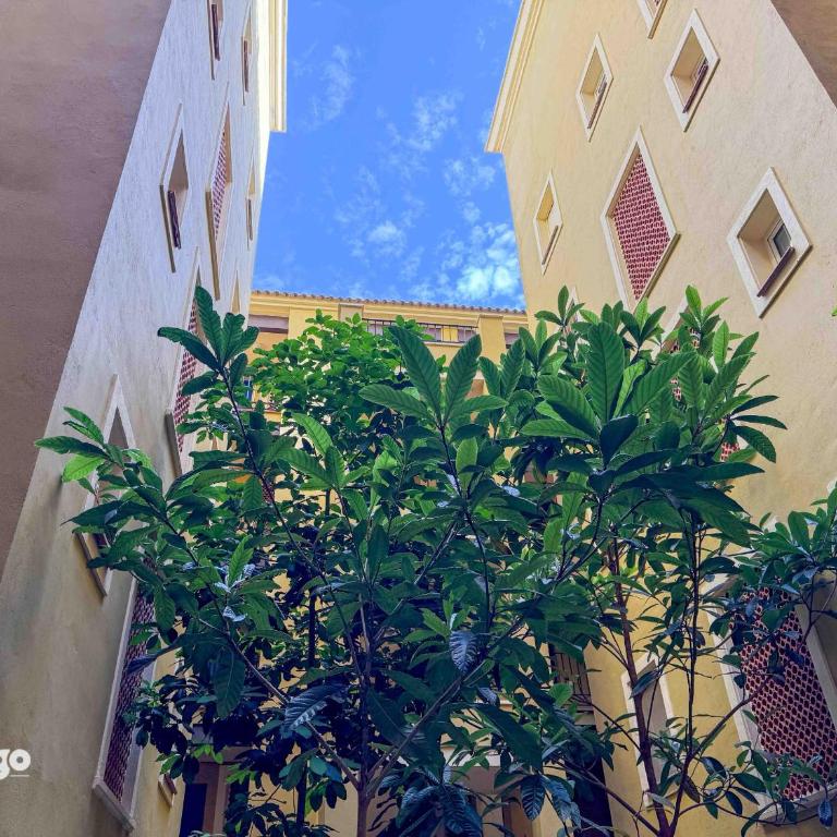 Beachfront Apartment - Sea View - COU01 - Three-Bedroom Apartment with Sea View - 23