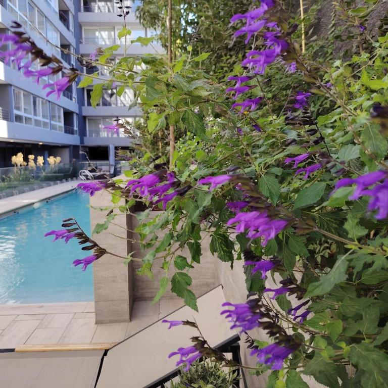 Prime21 Gran vista, calefactor, wifi, parking, Gym - Two-Bedroom Apartment - 9